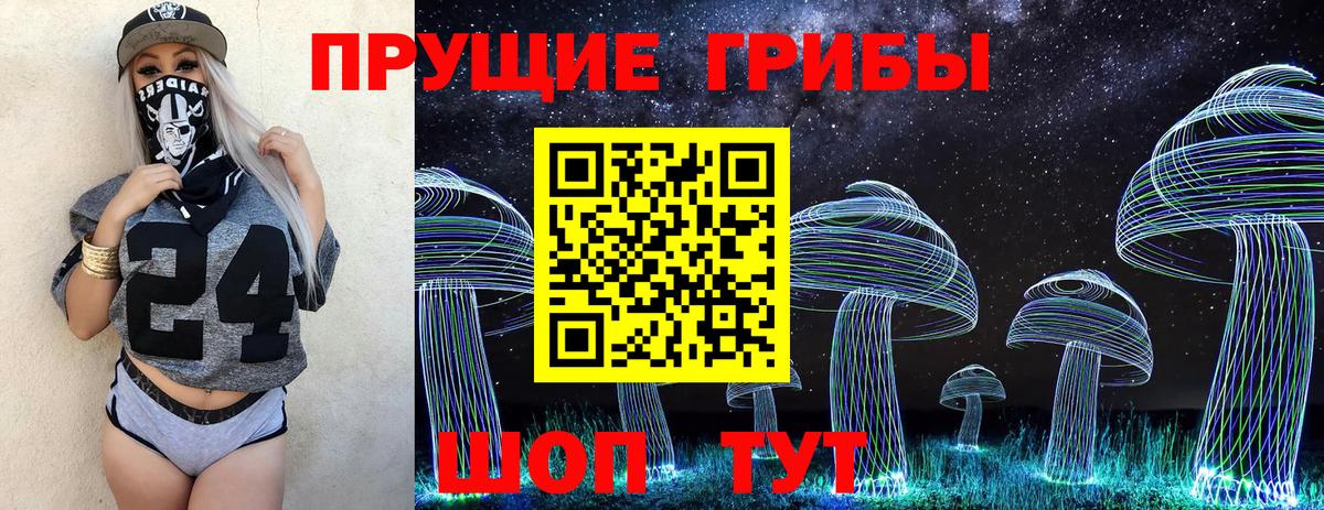 Псилоцибиновые грибы прущие грибы Вышний Волочёк